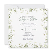 Baby in Bloom - Baby's Breath Border