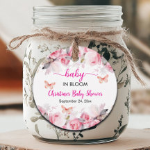 Baby in Bloom Blush Rozen Baby shower
