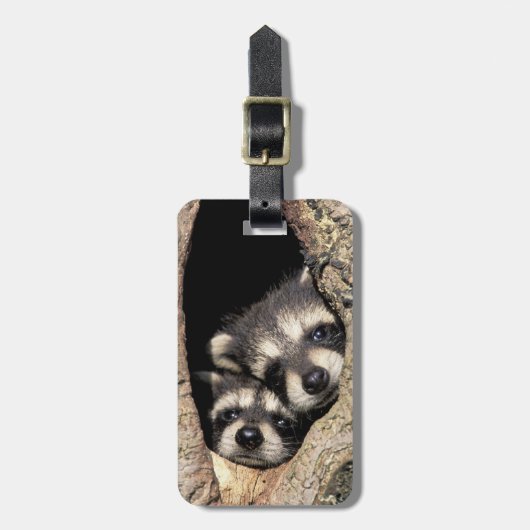 Baby in boomholte Procyon Bagagelabel (Voorkant verticaal)