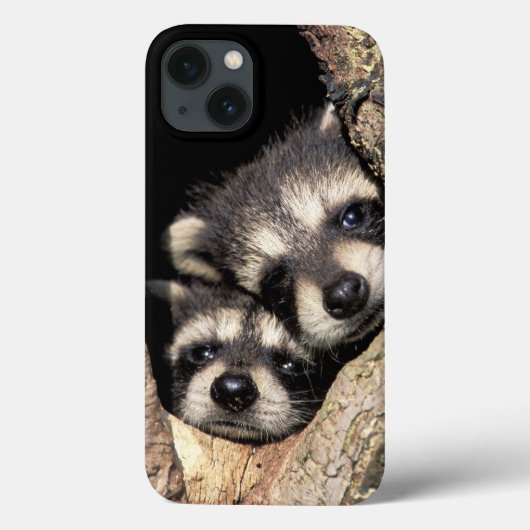 Baby in boomholte Procyon Case-Mate iPhone Case (Achterkant)