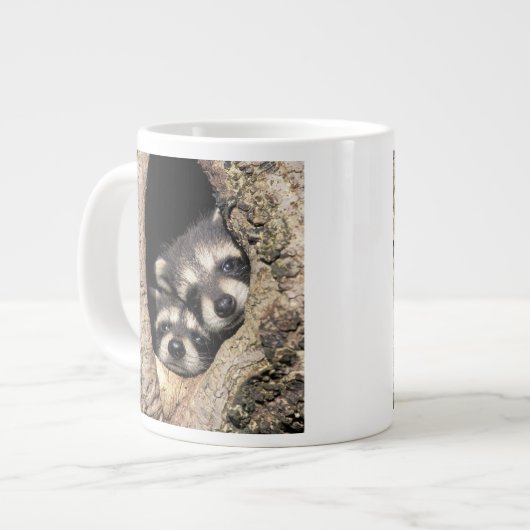 Baby in boomholte Procyon Grote Koffiekop (Links)