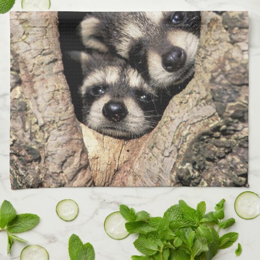 Baby in boomholte Procyon Theedoek