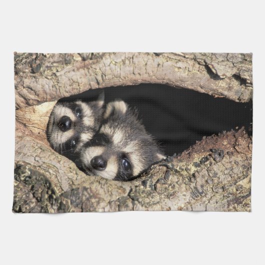 Baby in boomholte Procyon Theedoek (Horizontaal)