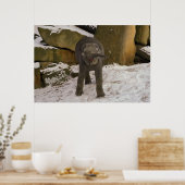 Baby in de sneeuw poster (Keuken)