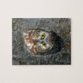 baby in de uil legpuzzel (Horizontaal)