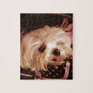 Baby in een Bag Maltese puppy Jigsee Puzzle Legpuzzel