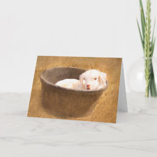 Baby in een emmer kaart