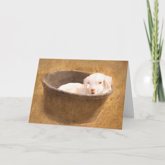 Baby in een emmer kaart (Voorkant)