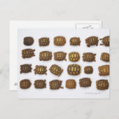 Baby in rijen briefkaart (Voorkant / Achterkant)