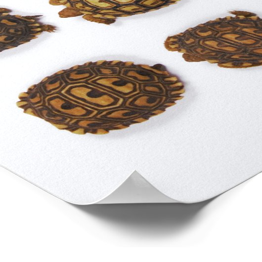 Baby in rijen poster (Hoek)