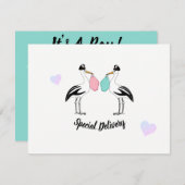 BABY is een jongen ooievaar levering strooien douc Kaart (Voorkant / Achterkant)