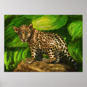 baby jaguar poster (Voorkant)