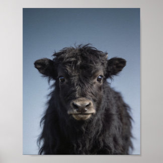 Baby Jak Portret – Mooie Dieren Muur Kunst voor de Poster