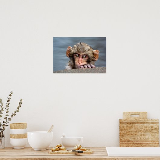 Baby Japans Macaque | Jigokudani Yaen-Koen Poster (Keuken)