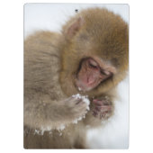 Baby Japans Macaque | Sneeuwaap Klembord (Achterkant)