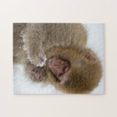 Baby Japans Macaque | Sneeuwaap Legpuzzel (Horizontaal)