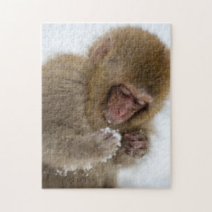 Baby Japans Macaque   Sneeuwaap Legpuzzel