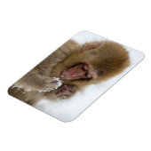 Baby Japans Macaque | Sneeuwaap Magneet (Linkerzijde)