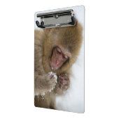 Baby Japans Macaque | Sneeuwaap Mini Klembord (Angled2)