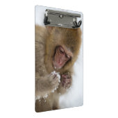 Baby Japans Macaque | Sneeuwaap Mini Klembord (Schuin)