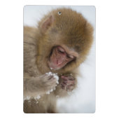 Baby Japans Macaque | Sneeuwaap Mini Klembord (Achterkant)
