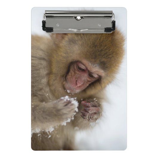Baby Japans Macaque | Sneeuwaap Mini Klembord (Voorkant)