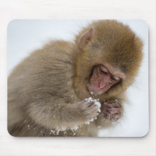 Baby Japans Macaque | Sneeuwaap Muismat (Voorkant)