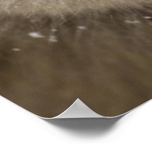 Baby Japans Macaque | Sneeuwaap Poster (Hoek)