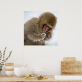 Baby Japans Macaque | Sneeuwaap Poster (Keuken)