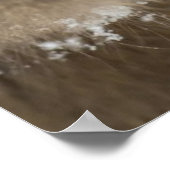 Baby Japans Macaque | Sneeuwaap Poster (Hoek)