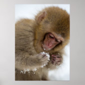 Baby Japans Macaque | Sneeuwaap Poster (Voorkant)