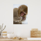 Baby Japans Macaque | Sneeuwaap Poster (Keuken)