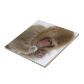 Baby Japans Macaque | Sneeuwaap Tegeltje (Zijkant)