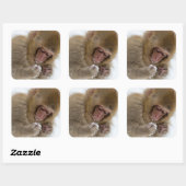 Baby Japans Macaque | Sneeuwaap Vierkante Sticker (Vel)