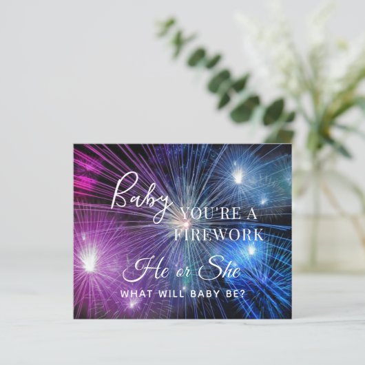 Baby je bent een vuurwerk blauw roze sekse openbar (Staand voorkant)