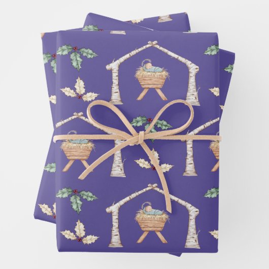 Baby Jesus in Manger Inpakpapier Vel (In situ)