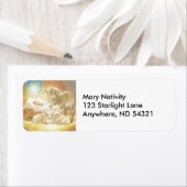 Baby Jesus Natitivity met Lambs en Donkey Etiket (Insitu)