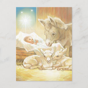 Baby Jesus Nativity with Lambs and Donkey Briefkaart