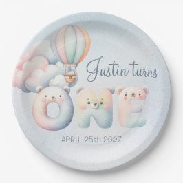 Baby jongen 1e verjaardag teddybear hete luchtball papieren bordje
