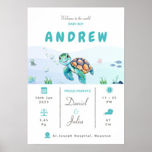 Baby jongen geboorte statistieken aquatisch thema poster
