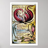 "Baby Joy", bord 23 uit "Sangen of Innocence and Poster (Voorkant)