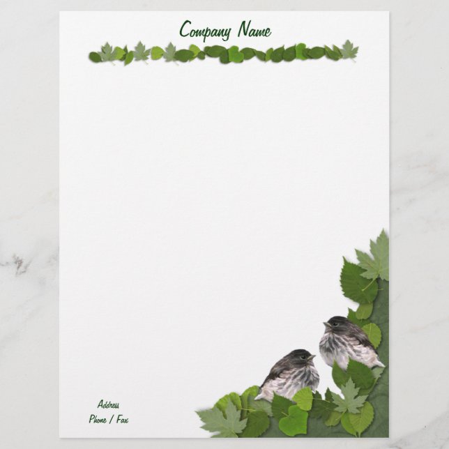 Baby Junco's Letterhead Persoonlijk Briefhoofd (Voorkant)