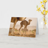 Baby Kaart (Gele Bloem)