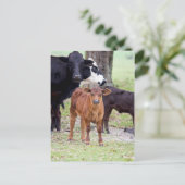 Baby kalf in de lente briefkaart (Staand voorkant)