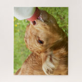 Baby kalf van vernevelflesje legpuzzel (Verticaal)