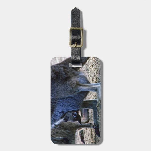 Baby kangaroo in de buidel van moeder - Australië Bagagelabel (Voorkant verticaal)