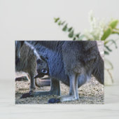 Baby kangaroo in de buidel van moeder - Australië Kaart (Staand voorkant)