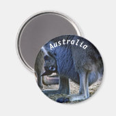 Baby kangaroo in de buidel van moeder - Australië Magneet (Voorkant / Achterkant)