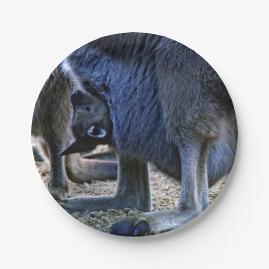 Baby kangaroo in de buidel van moeder - Australië Papieren Bordje (Voorkant)