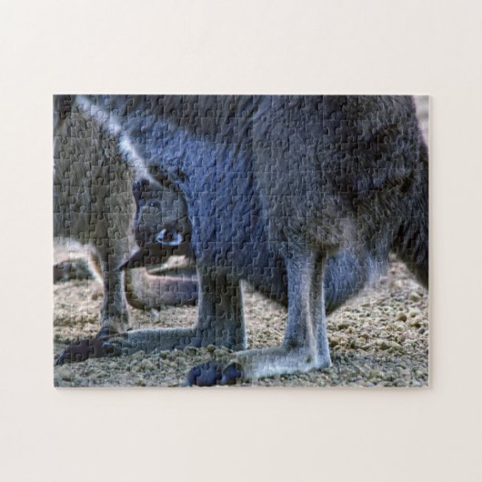 Baby kangaroo in moeders buik - Australië Legpuzzel (Horizontaal)